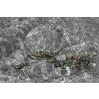 RIFLE-CAMO ConCamo Green