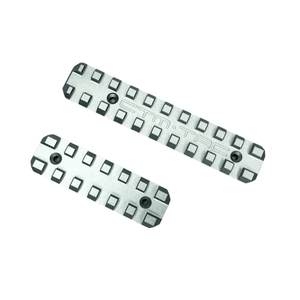 CTM CNC Upper & Lower Picatinny Rail Set for AAP-01 - Silver