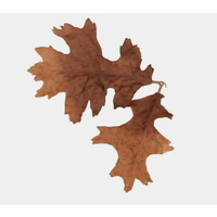 Leaf Camo - Oak - Bronze