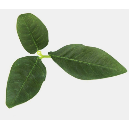 Novritsch Leaf Camo - LC3 - Pine