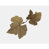 Leaf Camo - LC1 - Carob