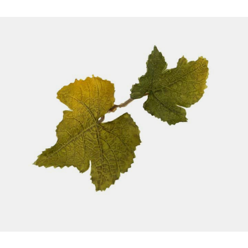 Novritsch Leaf Camo - LC1 - Lime