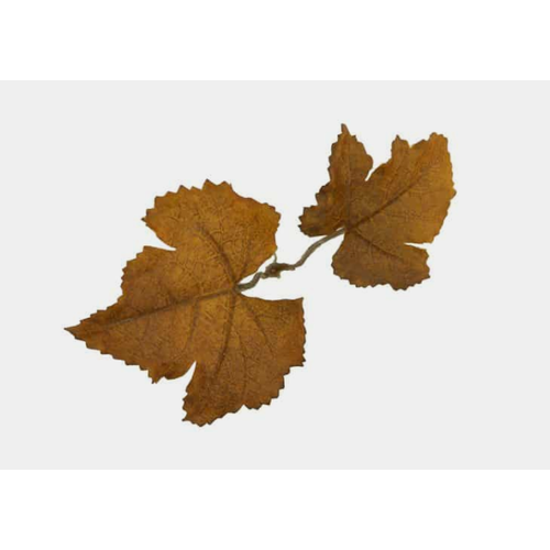 Novritsch Leaf Camo - LC1 - Sienna