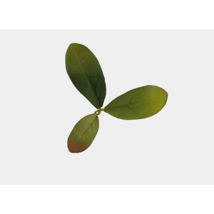 Novritsch Leaf Camo - Azalea - Emerald