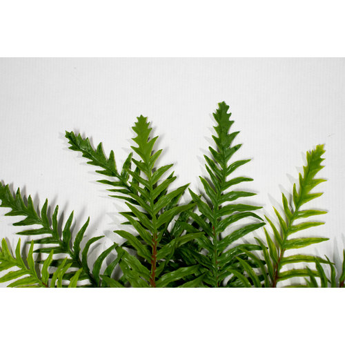 c4ssa_snipes High Quality Artificial Ferns - Gen 2