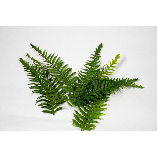 c4ssa_snipes High Quality Artificial Ferns - Gen 2