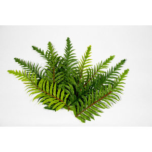 c4ssa_snipes High Quality Artificial Ferns - Gen 2