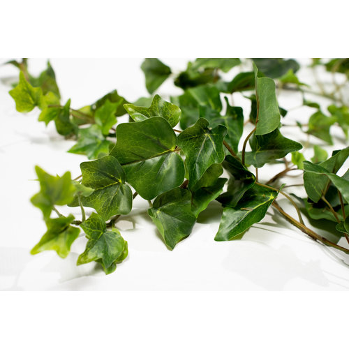 c4ssa_snipes High Quality Artificial Ivy - Full Green