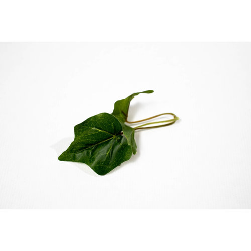 c4ssa_snipes High Quality Artificial Ivy - Full Green