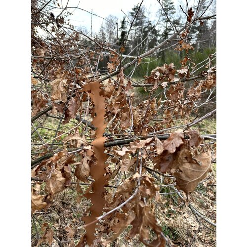 Le Covert Sartorialist Oak Master 3D Garlands - High Contrast Brown Le Covert Sartorialist Oak Master 3D Garlands - High Contrast Brown