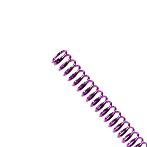 Waldo Dynamics AAP-01 "Ion" Recoil Spring