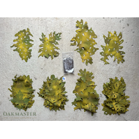 Autumn Transitional Modules