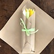 A package with 10 candles in colours to bring  Spring or Easter to your home