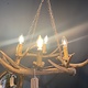 Chandelier made from antlers