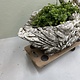 Vintage Swan planter