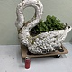 Vintage Swan planter