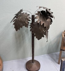 Little Palm in your home