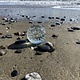 Vintage glass paper weight