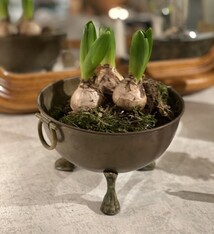 * Te laat, verkocht * Koper op stoere pootjes