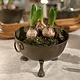 Antique little  bowl on tiny lions feet