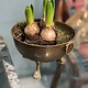 Antique little  bowl on tiny lions feet