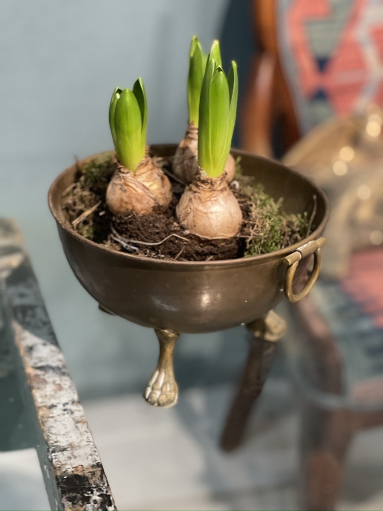Antique little  bowl on tiny lions feet