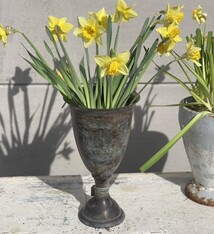 *Nog eentje over * Suited for inside, nice for outside