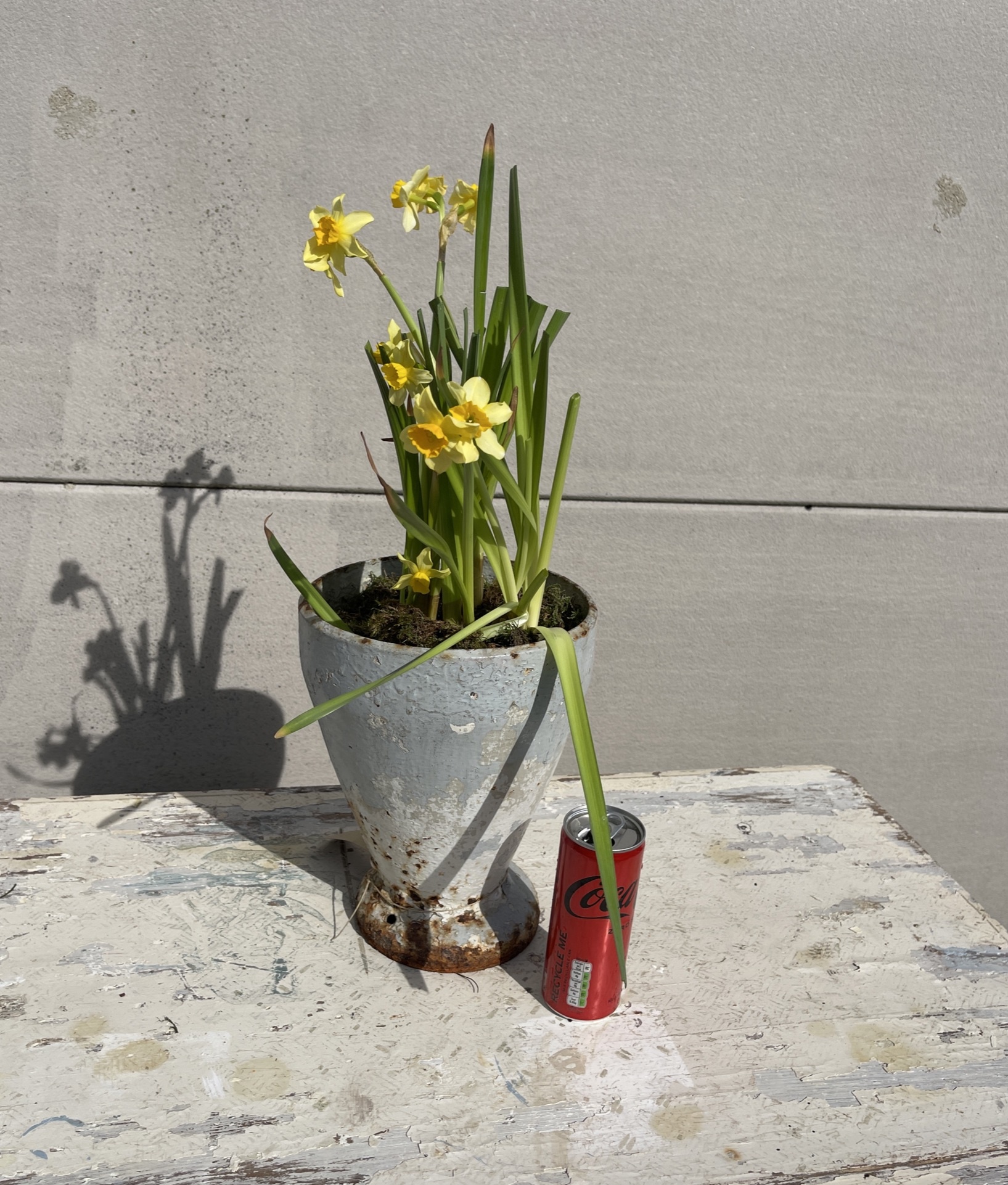 Antique cast iron vase, leaning a bit