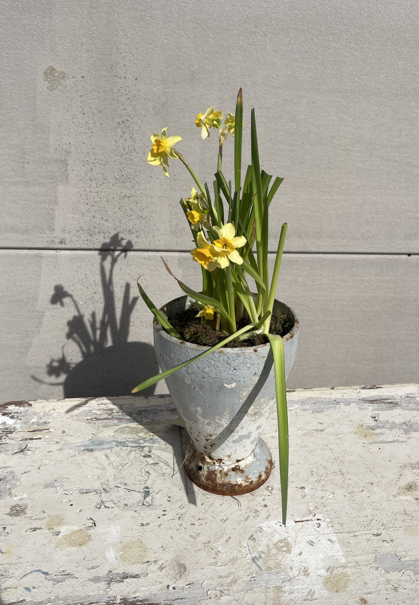 Antique cast iron vase, leaning a bit