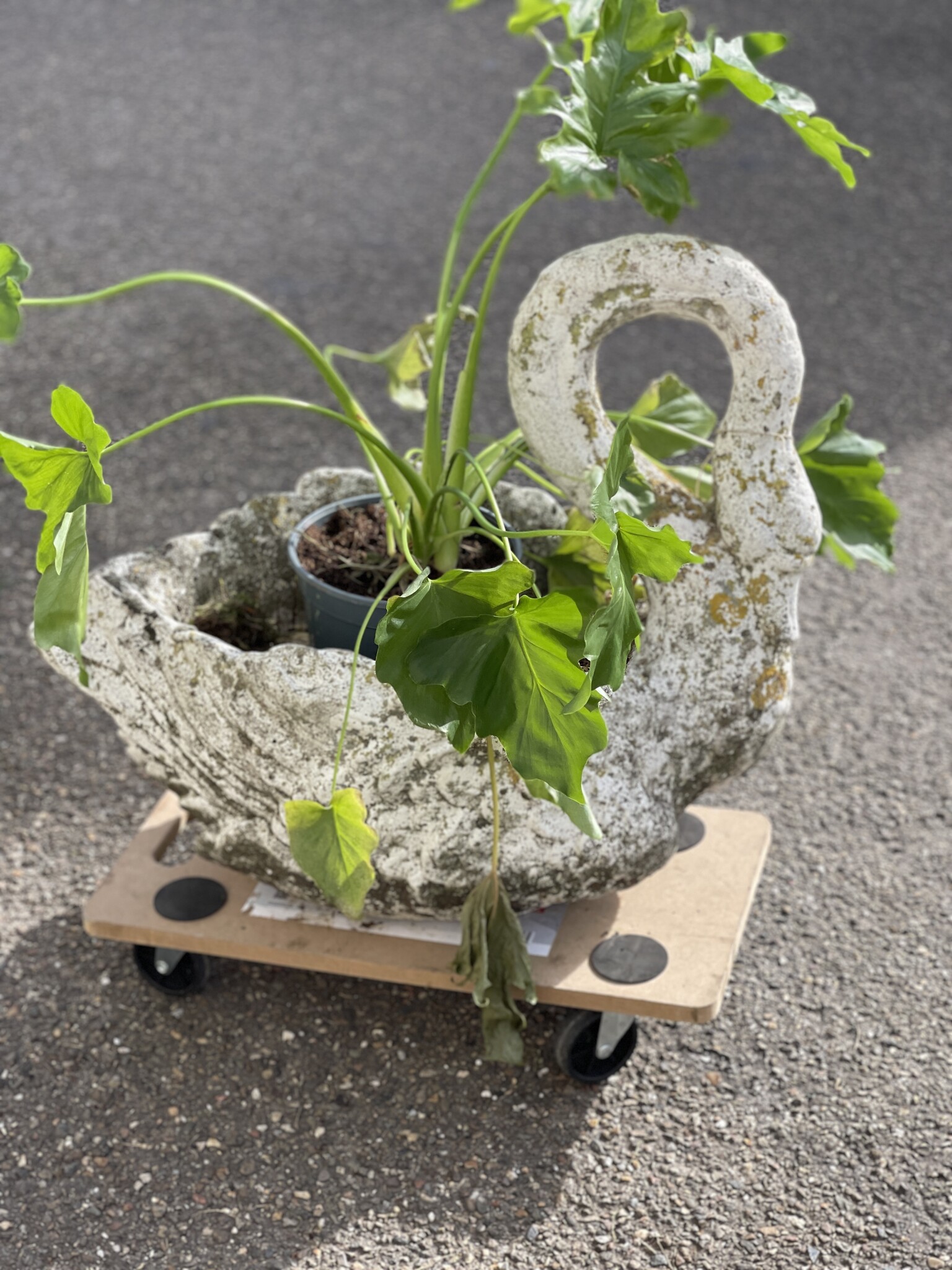 Vintage Swan planter