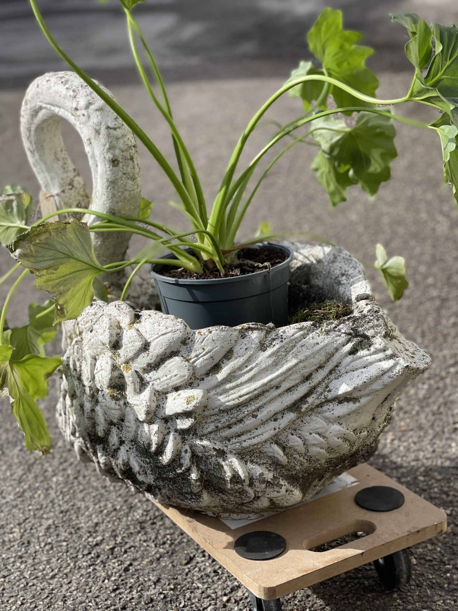 Vintage Swan planter