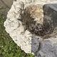 Vintage vogelbadje op een voetje