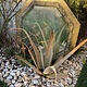 Brass- lamella octavian mirror