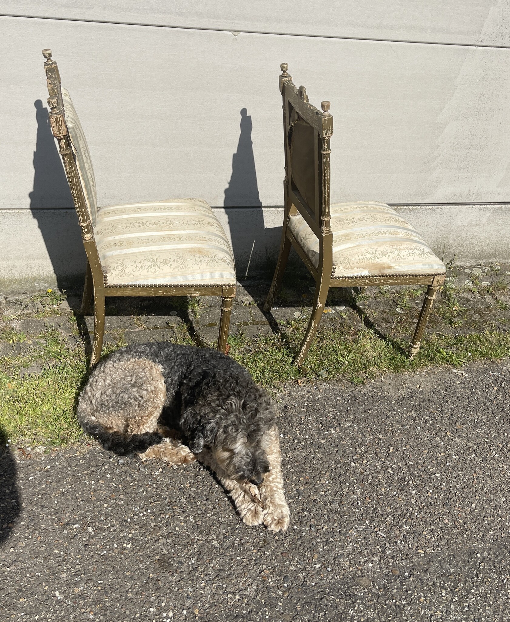 Pair of delicate antique chairs