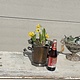 Vintage small wine cooler or ice bucket