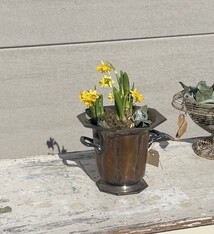MOVING OUT SALE - For small bottles
