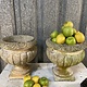 Pair of vintage cement planters