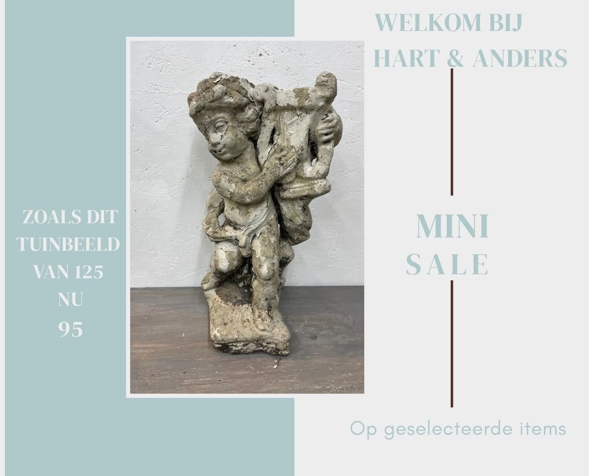 Mini sale 14 tot en met 21 juni 