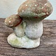 Vintage paddestoelen, rood met witte stipjes