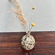 Little vase by a Creative Mastermind, stone ware
