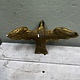 Gilded plaster eagle or falcon