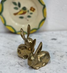 MOVING OUT  SALE - Little rabbits