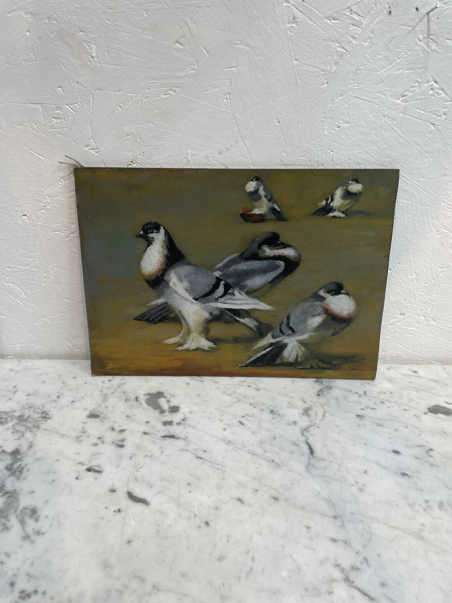 Painting of  five pigeons on the ground