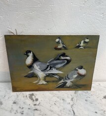 All the pigeons on the square