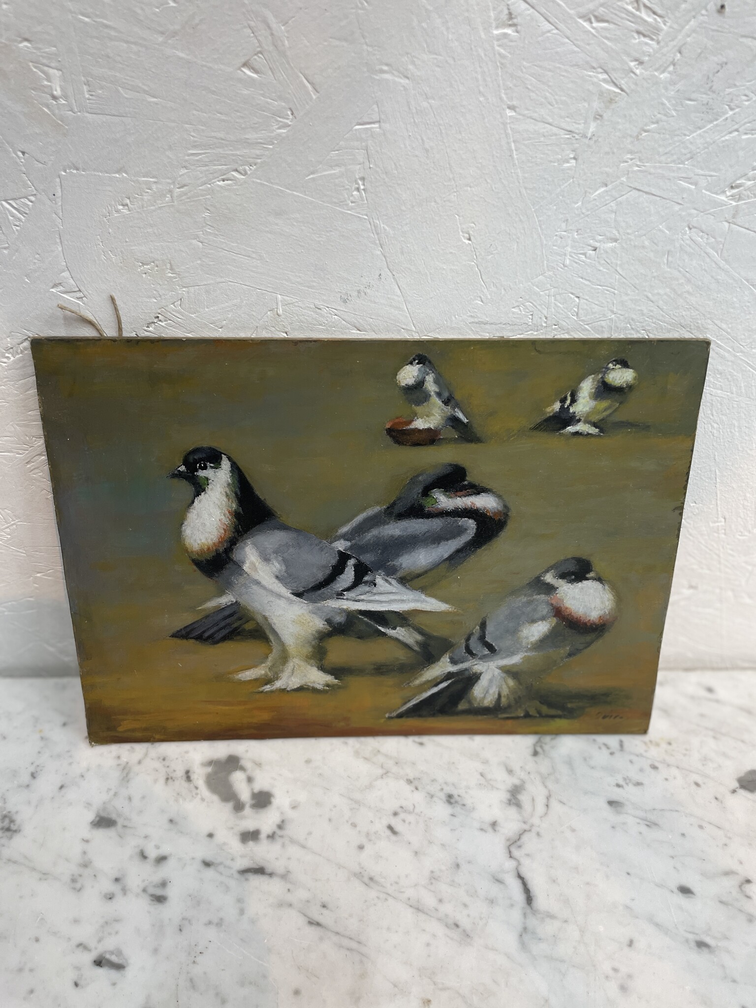 Painting of  five pigeons on the ground