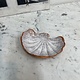 Shell dish, crafted by Kitty Markus