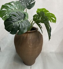 Spaniard with a complex