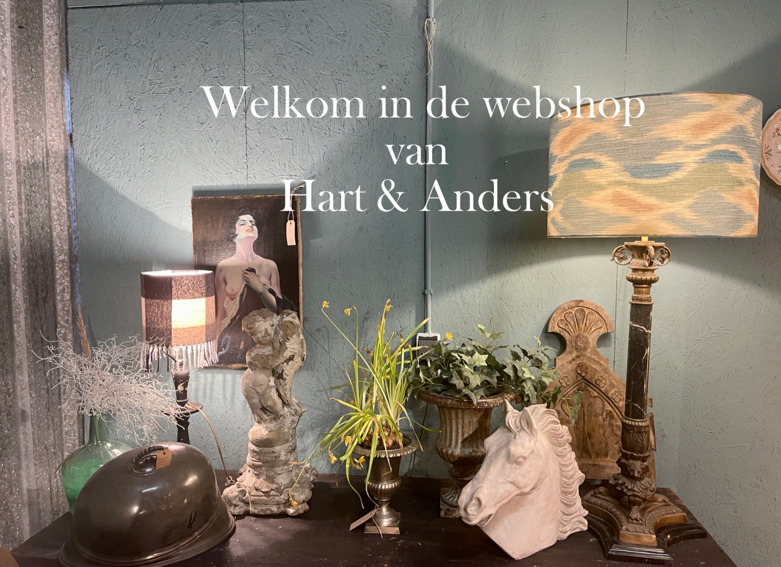 Welkom in de webshop van Hart & Anders 