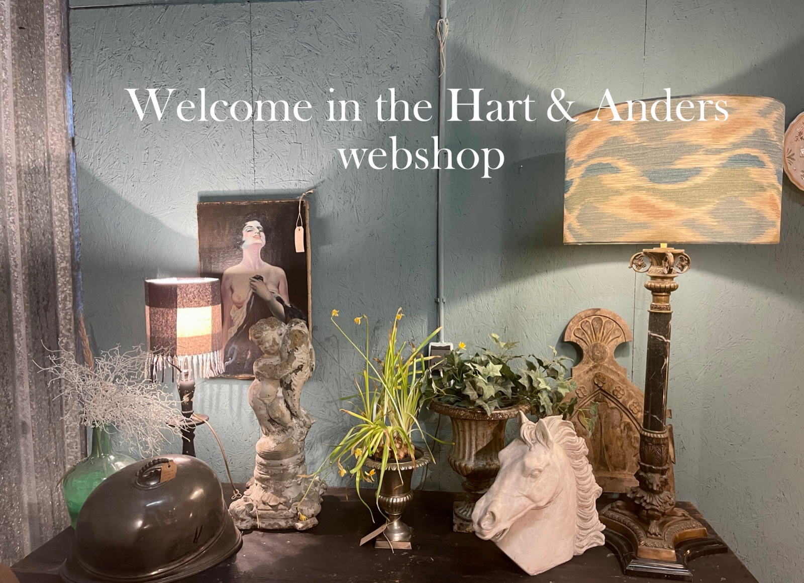 Welkom in the Hart & Anders webshop 