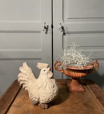 White rooster with large feet